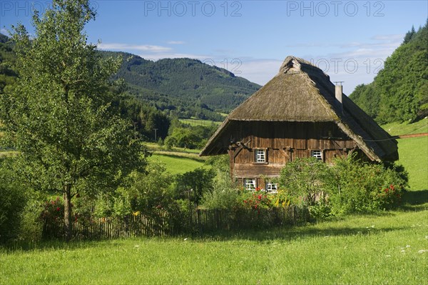 A thatched farmhouse and a cottage garden