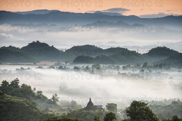 Pagodas and temples surrounded by trees