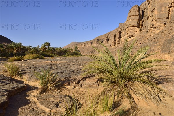 Iherir Canyon