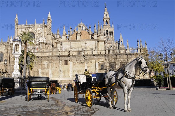 Horse and carriage