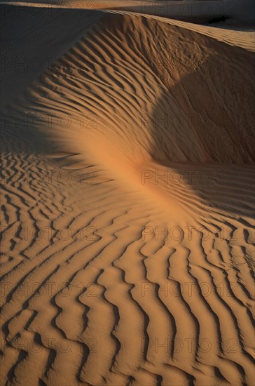 Patterns of the sand dunes of the Wahiba Sands desert