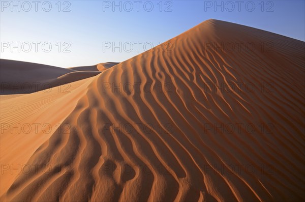 Patterns of the sand dunes of the Wahiba Sands desert