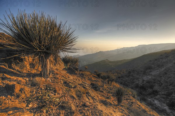 Arab mountains