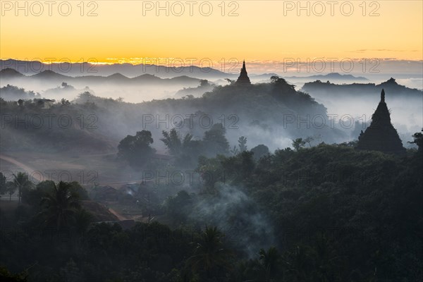 Pagodas surrounded by trees