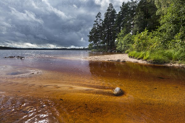 Estuary on the beach of Vitsand