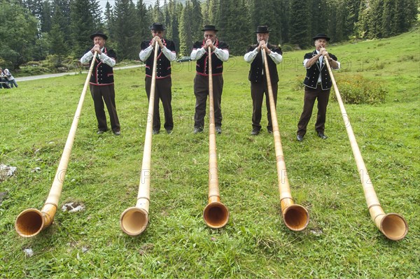 Group of alphorn players performing on a meadow in Justistal valley