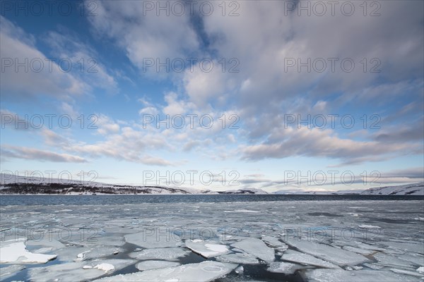 Barents Sea