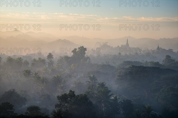 Pagoda in the mist