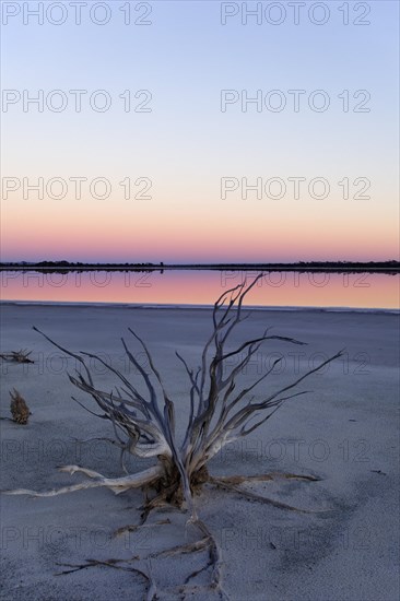 Lake Ninan