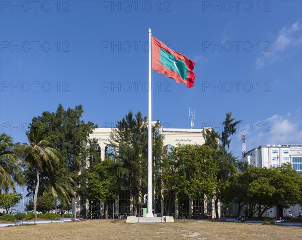 Flag of the Maldives