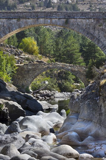 Ponte Alto