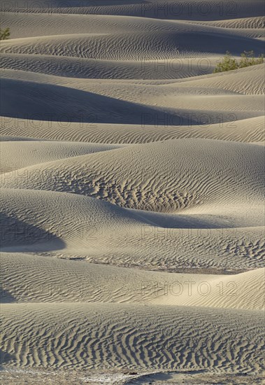 Mesquite Flat Sand Dunes