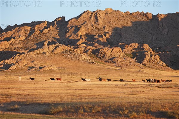 Herd of goats in front of the rocky Baga Gazaryn Chuluu range