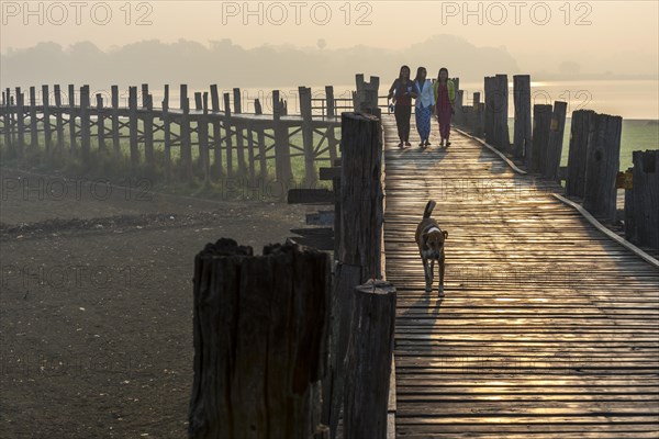 Girls and a dog on a teak bridge