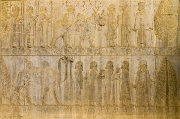 Relief of the Apadana