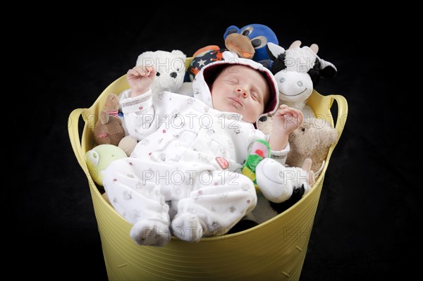 Baby sleeping in a bucket full of stuffed animals