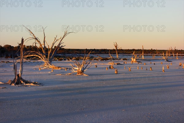 Lake Ninan