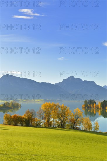 Autumn morning on Forggensee at Rosshaupten