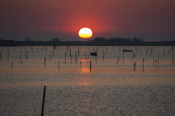 Sunrise in the Po River Delta