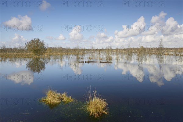 Rewetted moor