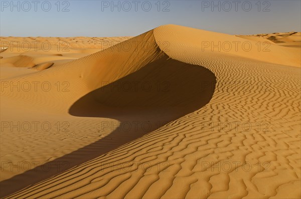 The sand dunes of the Wahiba Sands desert