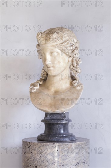 Head of Dionysus