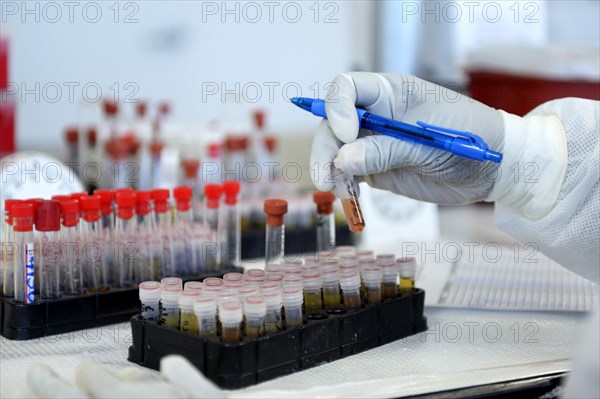 Lab technician with blood samples in a laboratory