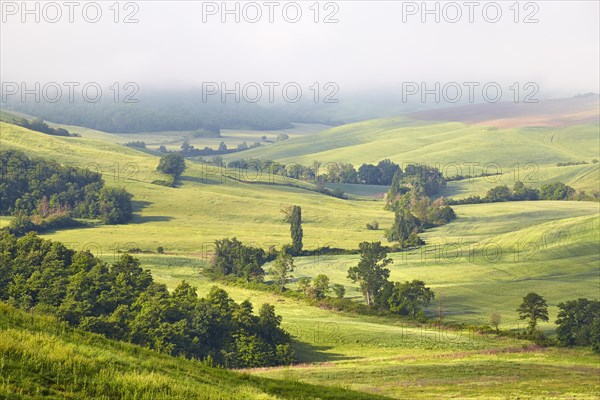 Fog in the valleys of the Crete Senesi