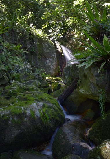 Waterfall on Nosy Mangabe