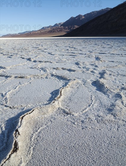 Salt crusts at the Badwater Basin