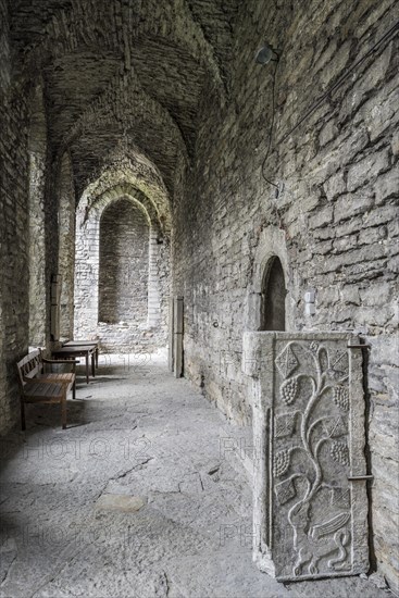 Dungeon of the former Dominican monastery with old grave stones