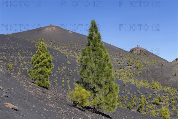 Volcano San Martin