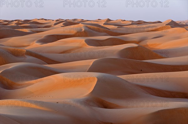 The sand dunes of the Wahiba Sands desert