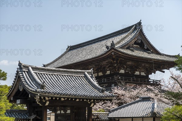 Ninna-ji Temple Goten