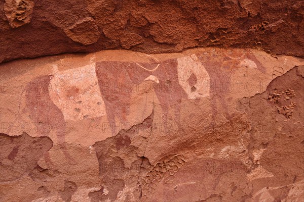 Rock painting of cows