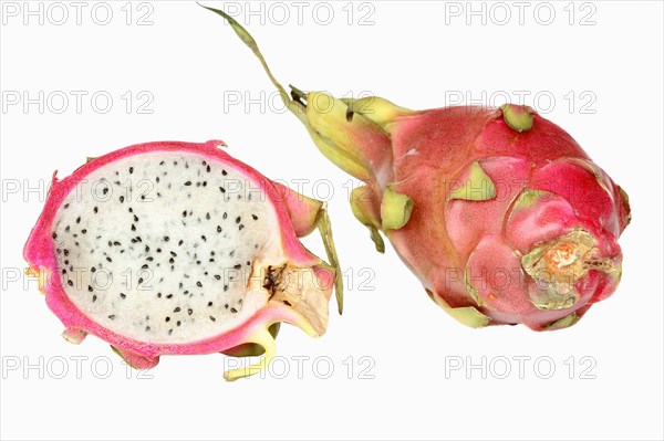 Pitahaya or Dragonfruit (Hylocereus undatus)