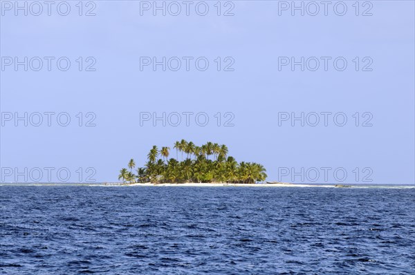 Lonely island with palm trees