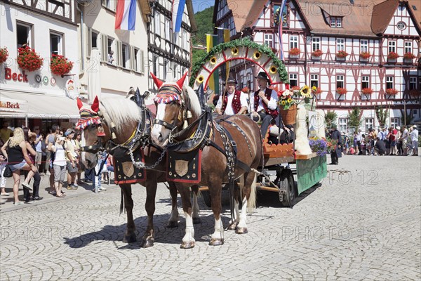 Horse-drawn carriage