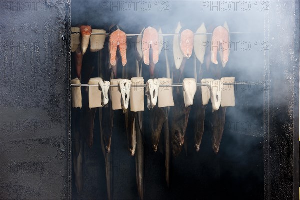 Fish in the smoker