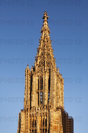 Spire
