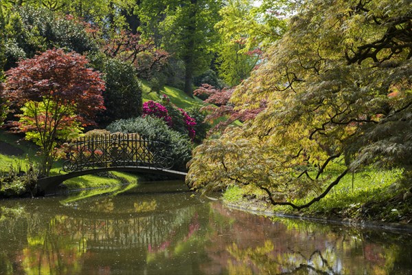 Pond with a bridge in the park of Villa Melzi