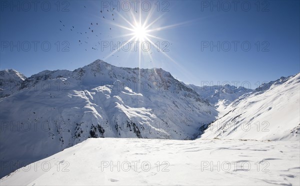 Birds circling the sun