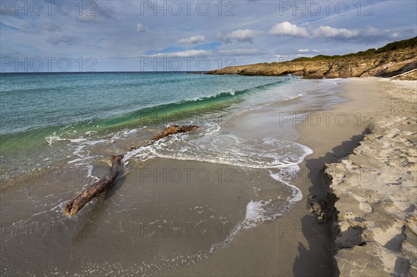 Beach along the Customs Officers' Trail