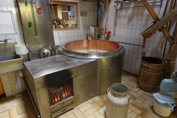 Cheese production in an Alpine dairy