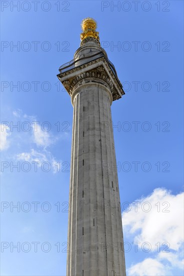 Corinthian column in Warwick Court