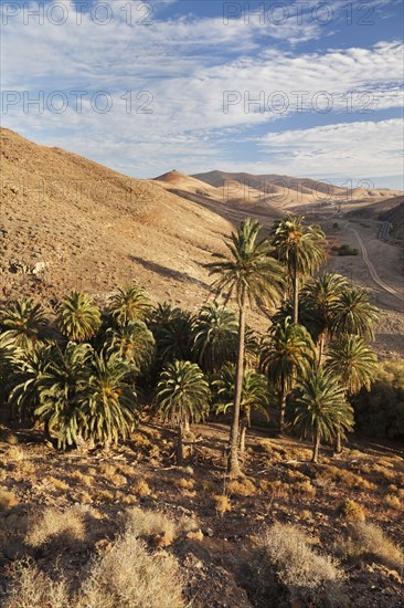 Landscape of Barranco de la Madre de Agua