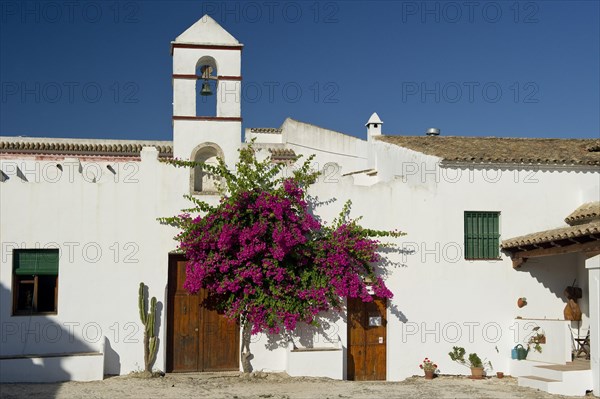 Finca near Conil de la Frontera