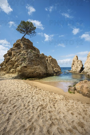 Sandy beach and rocks