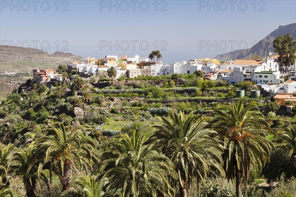 Townscape San Bartolome de Tirajana