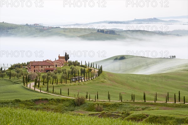 Fog in the valleys at Podere Baccoleno